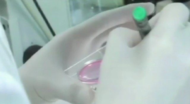 Kanadyjczycy mają szansę pozbyć się AIDS [wideo] 1