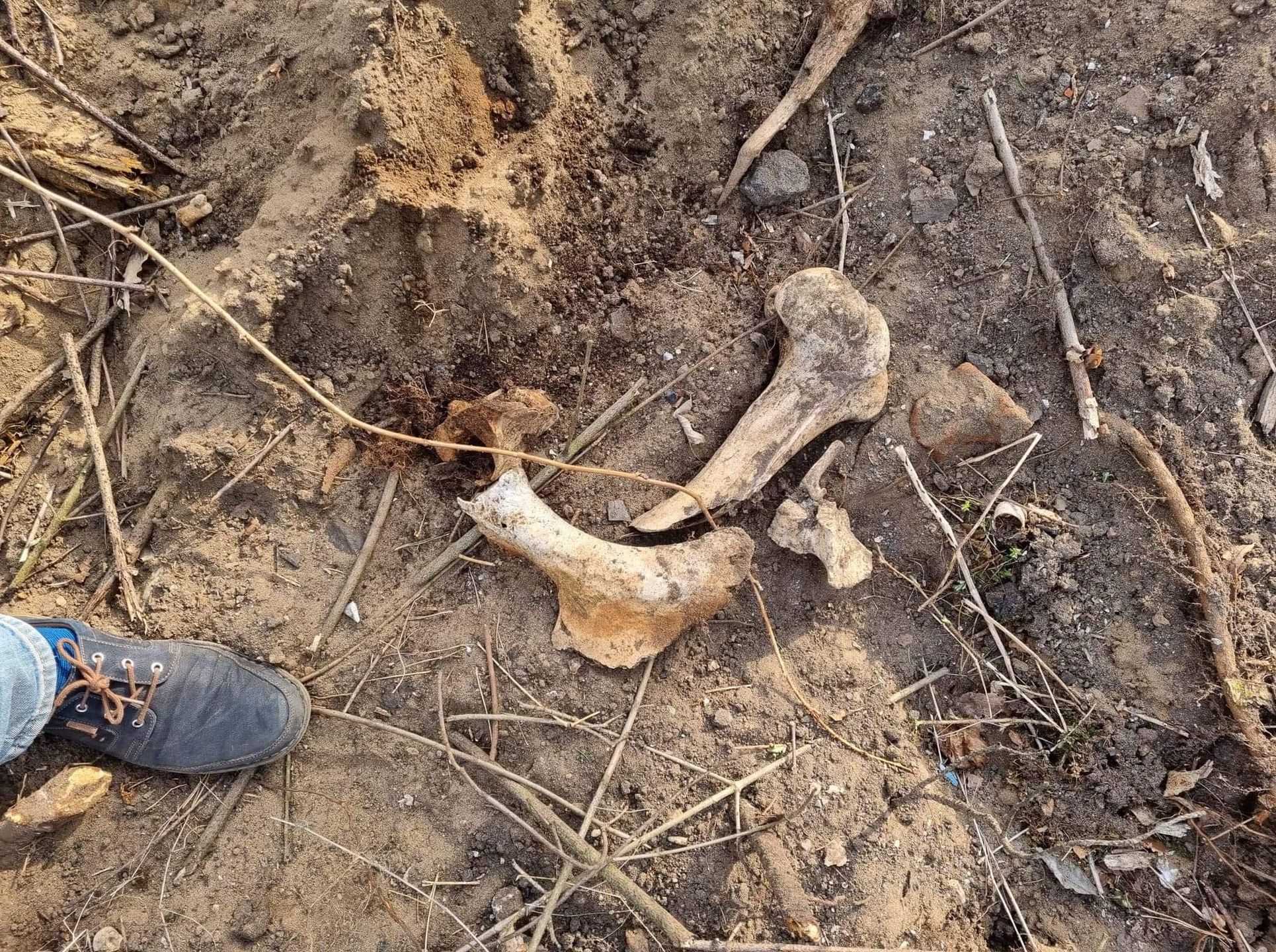 Cmentarz w Nowej Wsi Ełckiej 