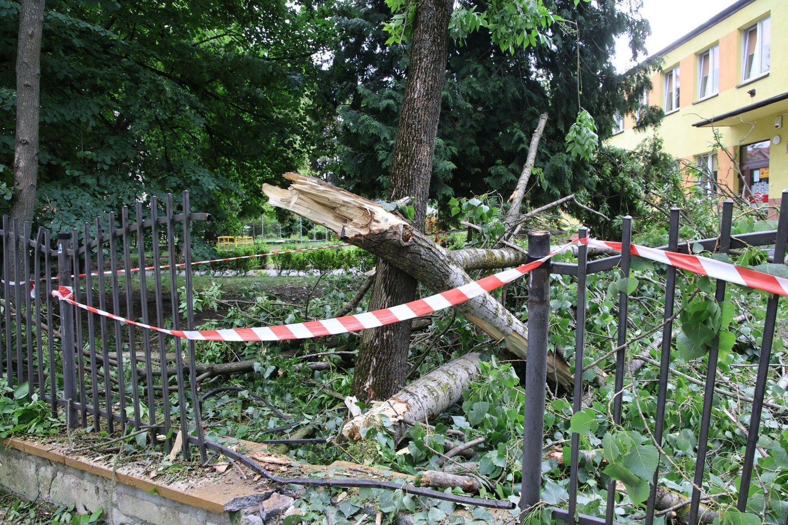 Drzewa połamane przez nawałnicę w Dolinie Silnicy w Kielcach uszkodziły ogrodzenie przedszkola.  