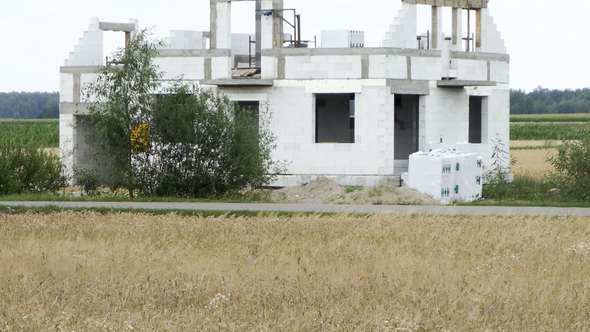 Reporter baza 2020-06-a
18.07.2018 Budowa domu. Fot. Piotr Kamionka/REPORTER
Piotr Kamionka/REPORTER