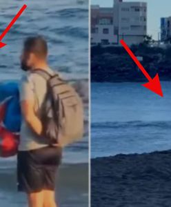 Nagrania mrożą krew w żyłach. W Europie rekin pływał tuż przy brzegu