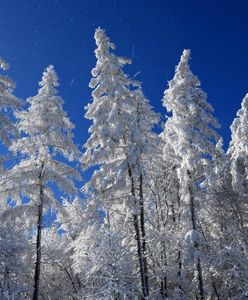 Beskidy. Wyśmienite warunki narciarskie…stąd też więcej interwencji ratowników