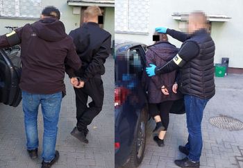 Biała Podlaska: Plantacja konopi w lesie. Zatrzymano 23-latka
