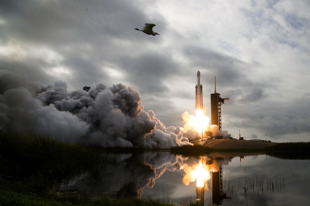 Projekt rakiety transportowej SpaceX zagraża ptakom morskim Pacyfiku