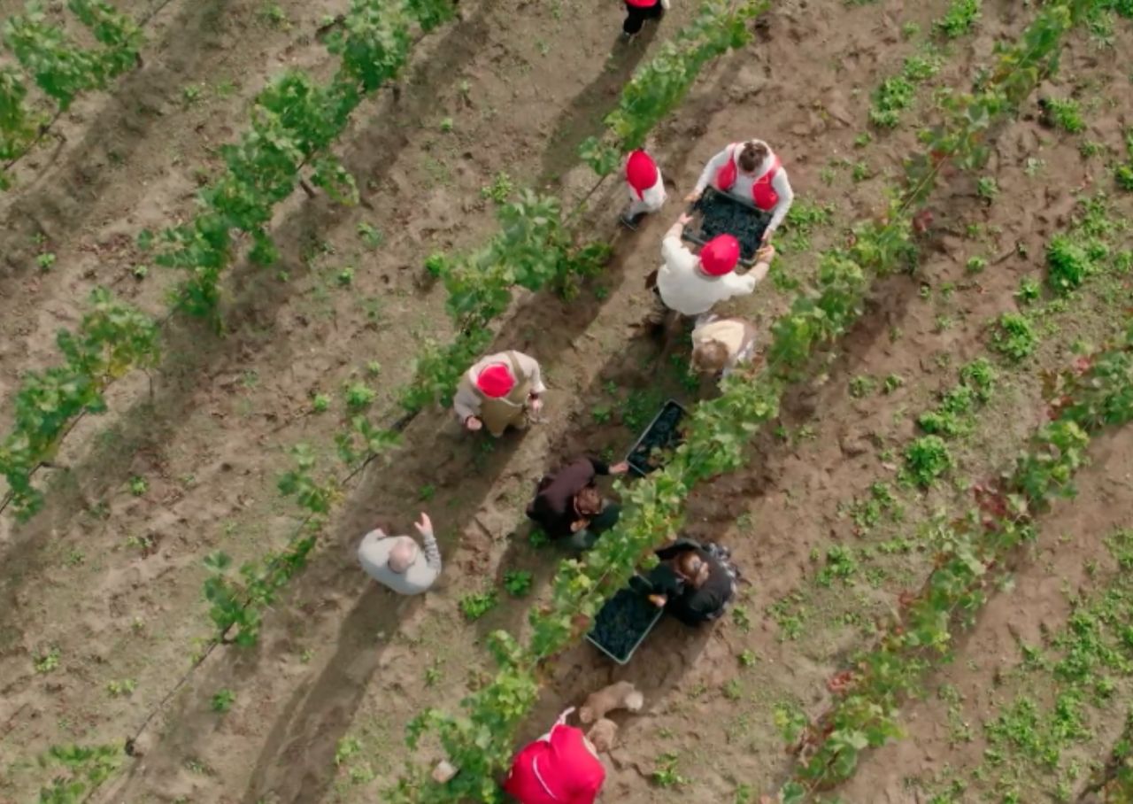 Na ten dzień czekają cały rok. "Tak nam się spodobało, że zostaliśmy tutaj i wracamy"