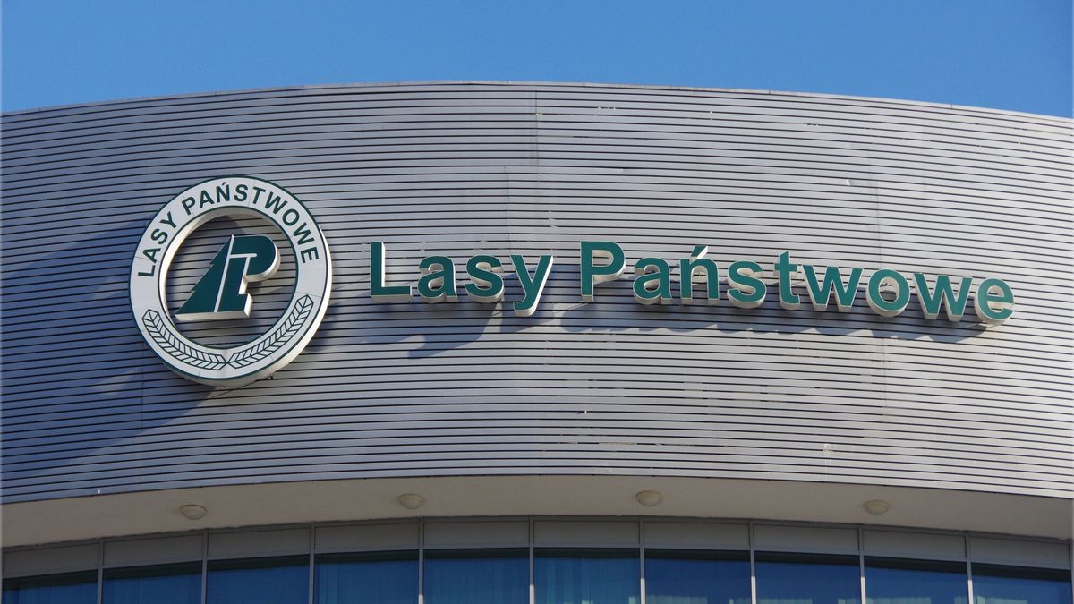 Lasy Państwowe