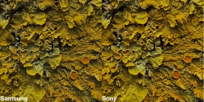 Który aparat w Galaxy S6 robi lepsze zdjęcia? Ten Sony czy może Samsunga? 16