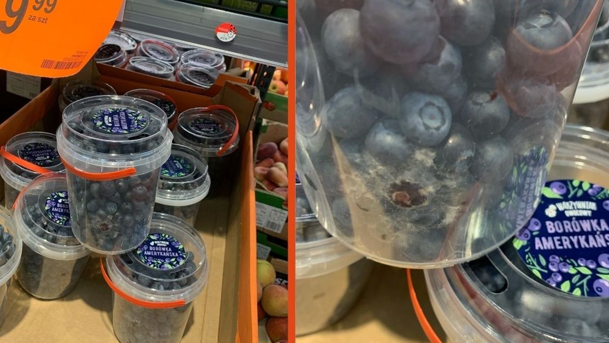 Kolejny przypadek pleśni w borówkach w Biedronce