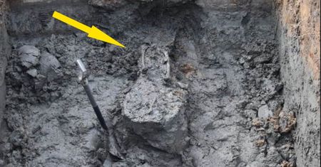 Na posesji znaleziono ludzkie szczątki. Właścicielka nie była zdziwiona