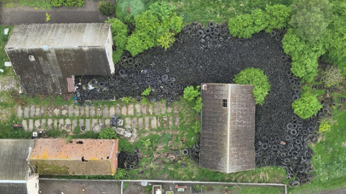 Urzędnicy byli zaskoczeni tym, co zobaczyli