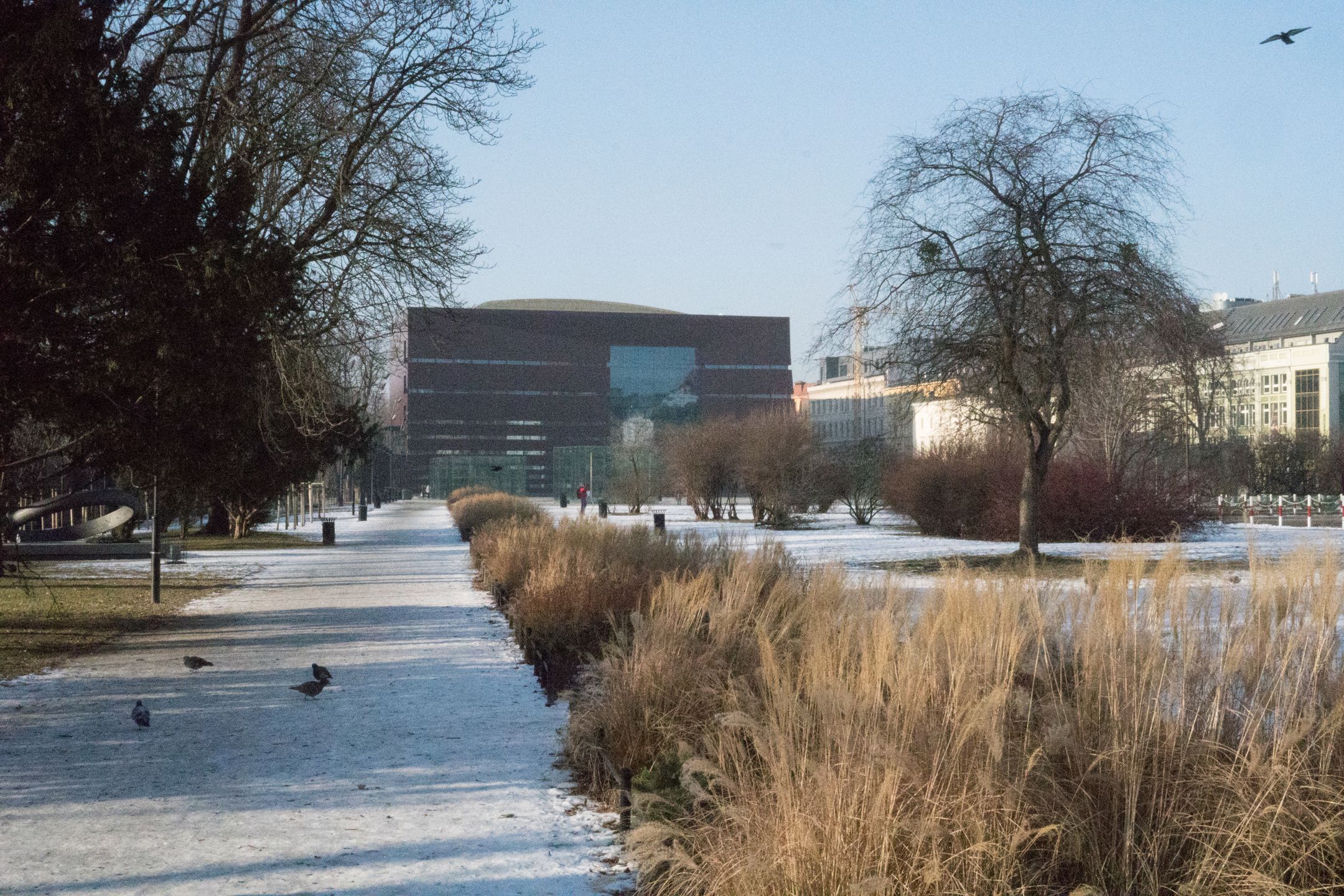 Sony A6500 - topowy bezlusterkowiec pełen sprzeczności [test] 101