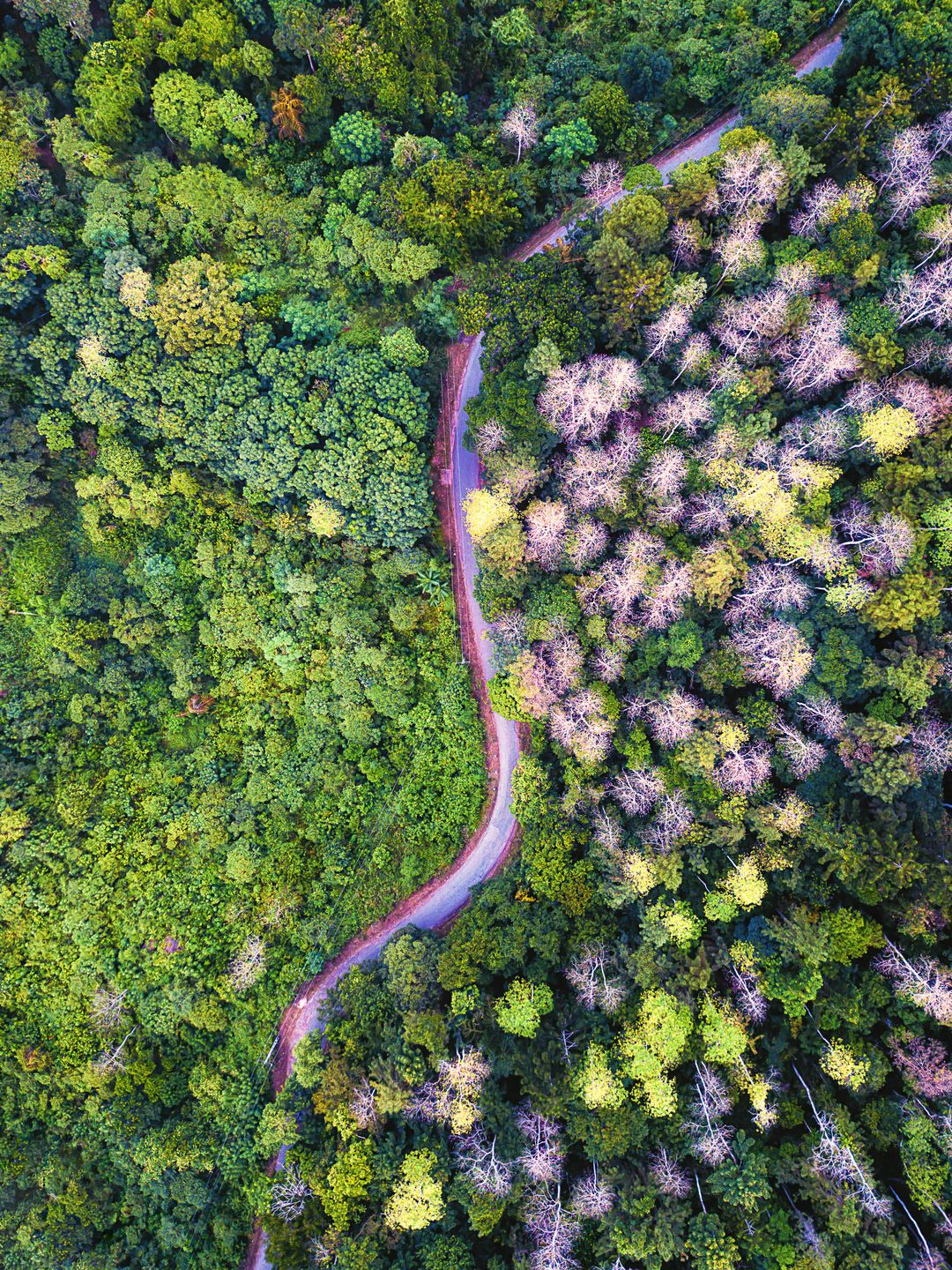 Piotr Leczkowski zwycięzcą polskiej edycji National Awards w Sony World Photography Awards 2019 40