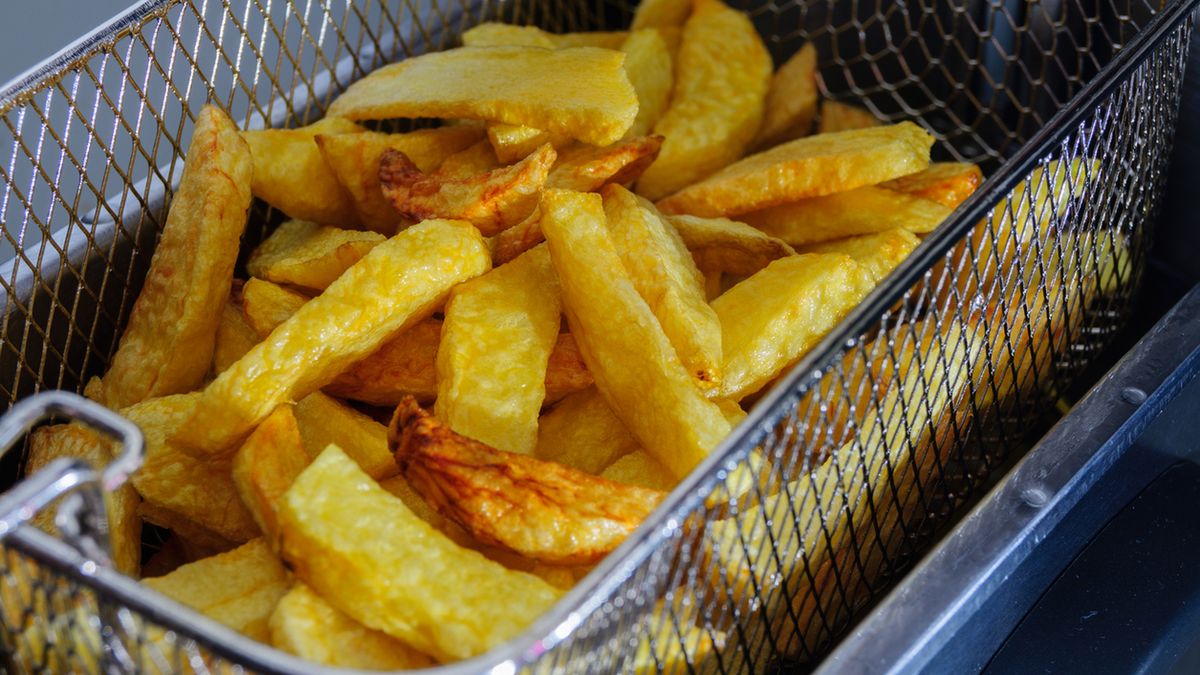 Domowe frytownice: urządzenia, w których zrobisz najlepsze frytki 1