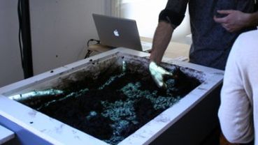 Błotny komputer (wideo) 1