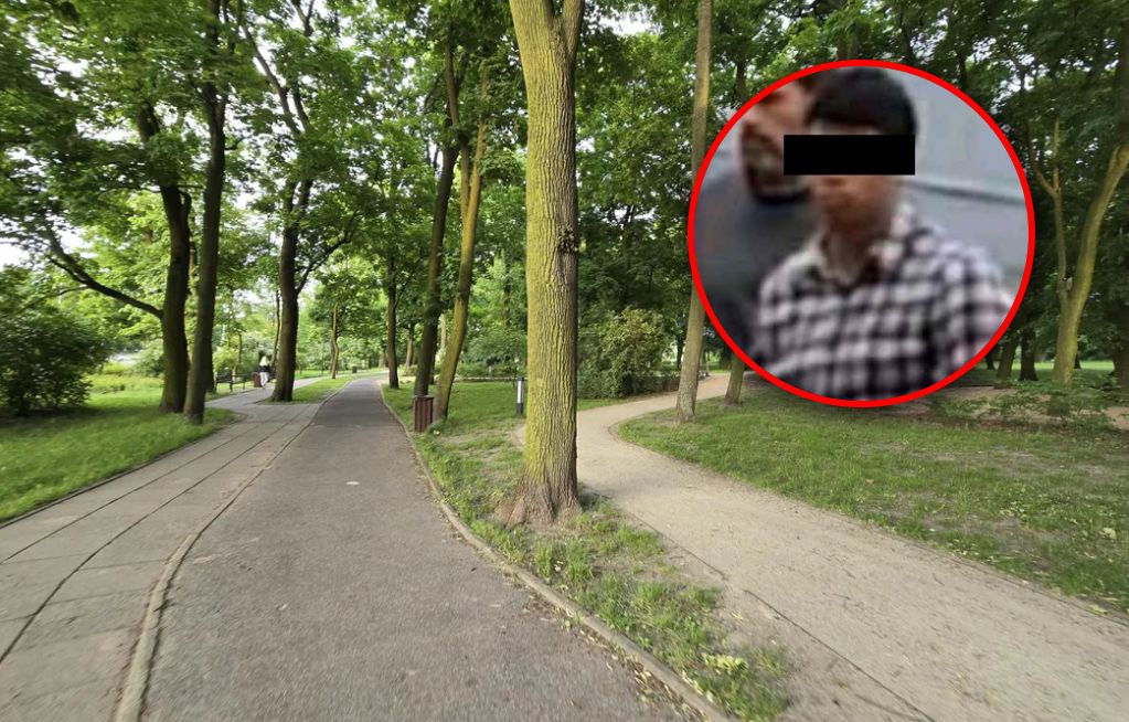 Napadł na Polkę w Toruniu. Wenezuelczyk będzie deportowany?