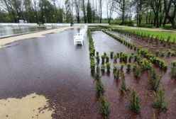 Legnica. Fontanny za 16 mln zł zalane wodą i błotem. Winnego nie ma