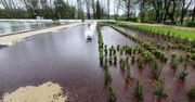 Legnica. Fontanny za 16 mln zł zalane wodą i błotem. Winnego nie ma