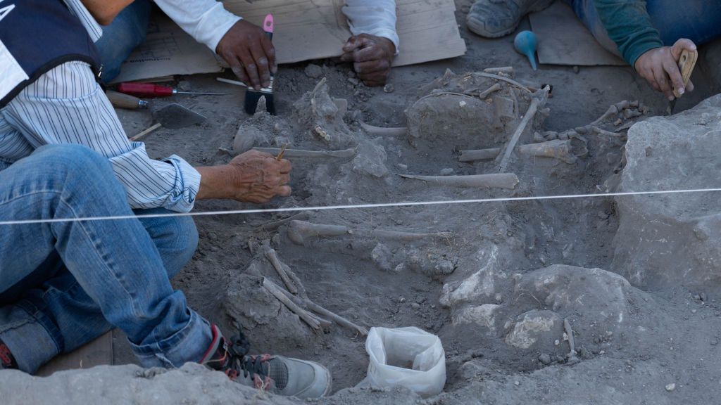 Archeolodzy odkryli grób sprzed 1000 lat