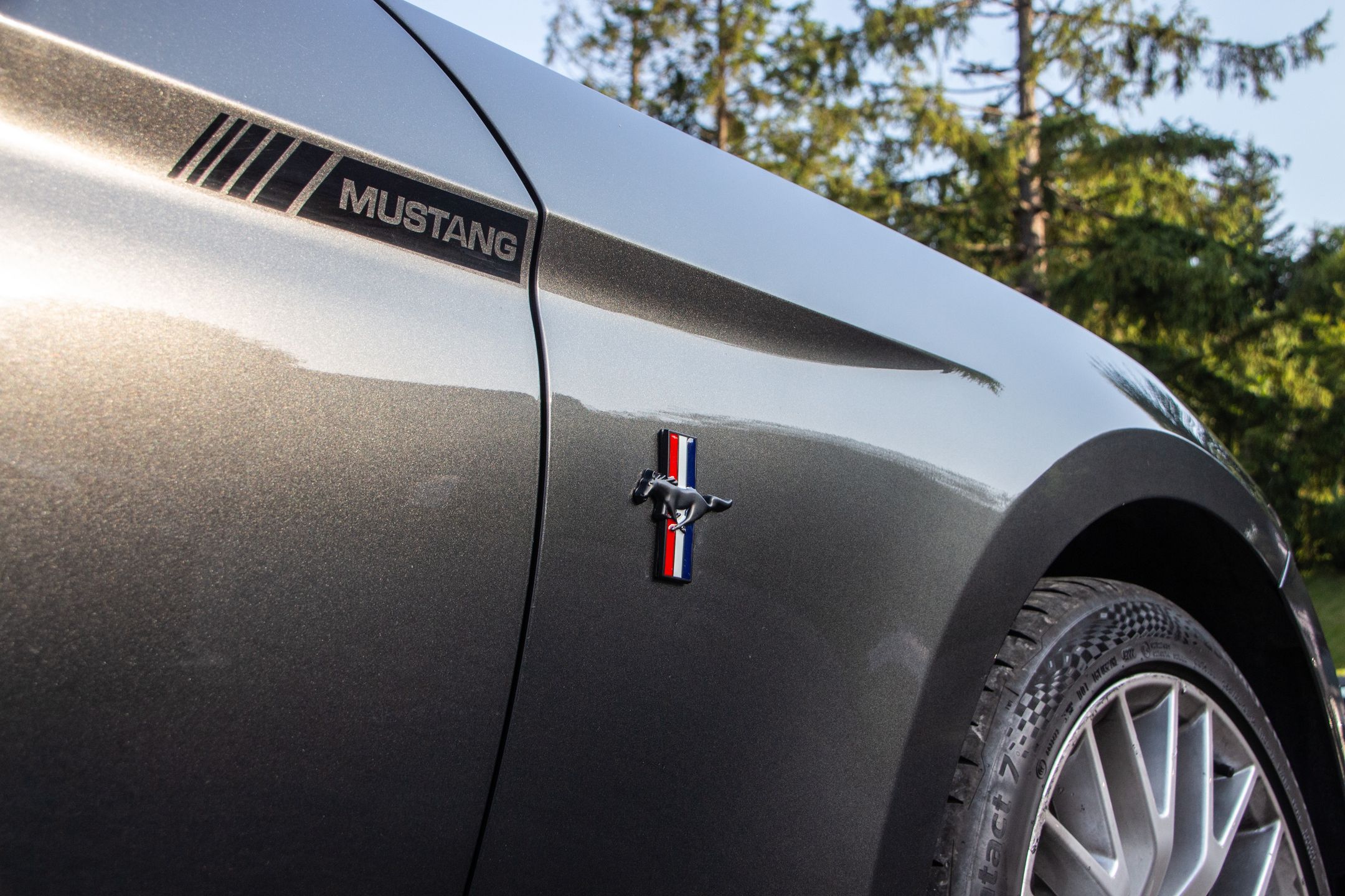 Małopolski & Śląski Zlot Mustangów 2024
