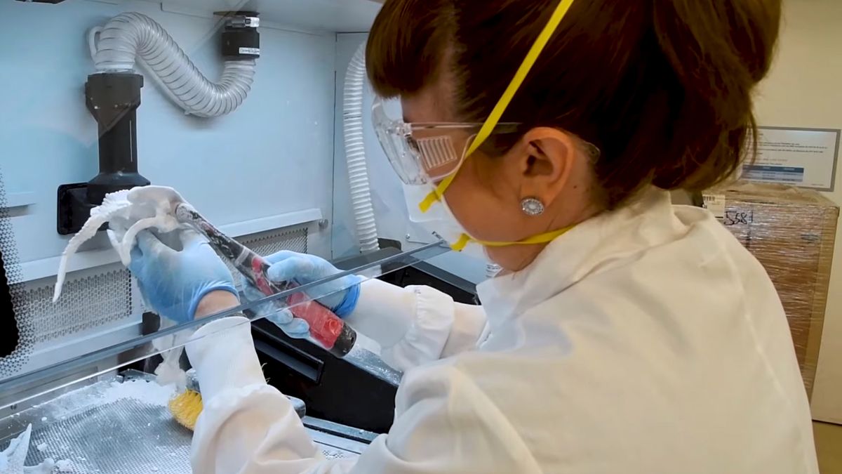 2,8 mln dzieł w domenie publicznej. Smithsonian udostępnia zasoby 1