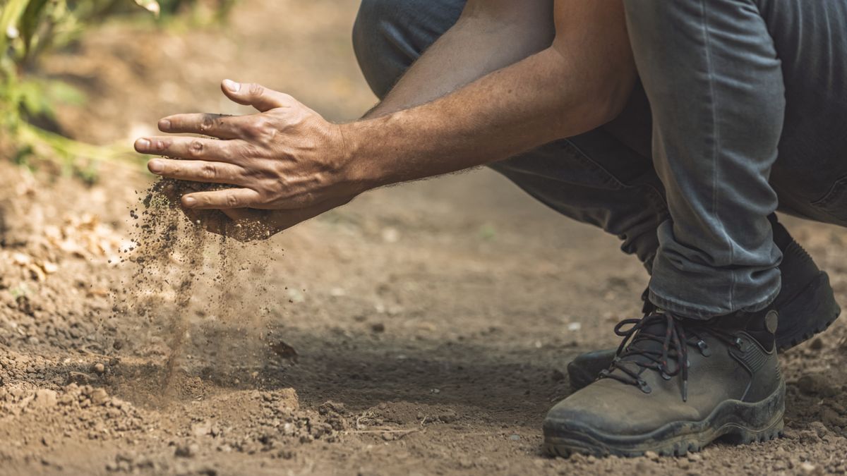 Susza w rolnictwie to nadal poważny problem