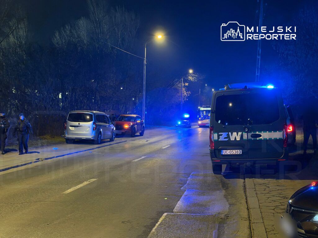 Dwóch policjantów prowadzi czynności na poboczu drogi, obok zaparkowanego samochodu dostawczego i osobowego, w nocy.