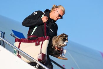 Nowy kumpel Haalanda wywołał burzę w sieci. Norweg stracił miłość kibiców?