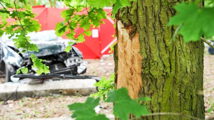 Drzewa nie są przyczynami wypadków, ale powinniśmy tworzyć infrastrukturę, która "wybacza" błędy, bo te zawsze będą się zdarzały