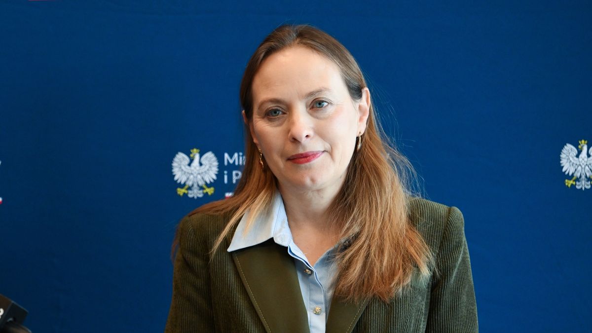 "Może wiązać się z wielomiliardowymi kosztami". Minister o rezygnacji z reformy PIP