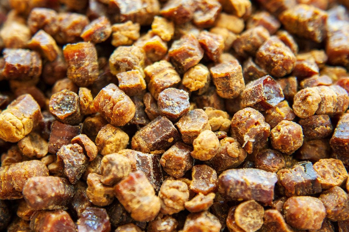 Bee bread and its properties.
