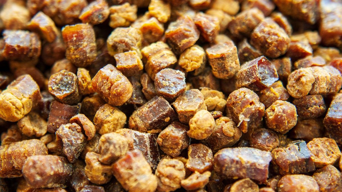 Pierzga i jej właściwości.