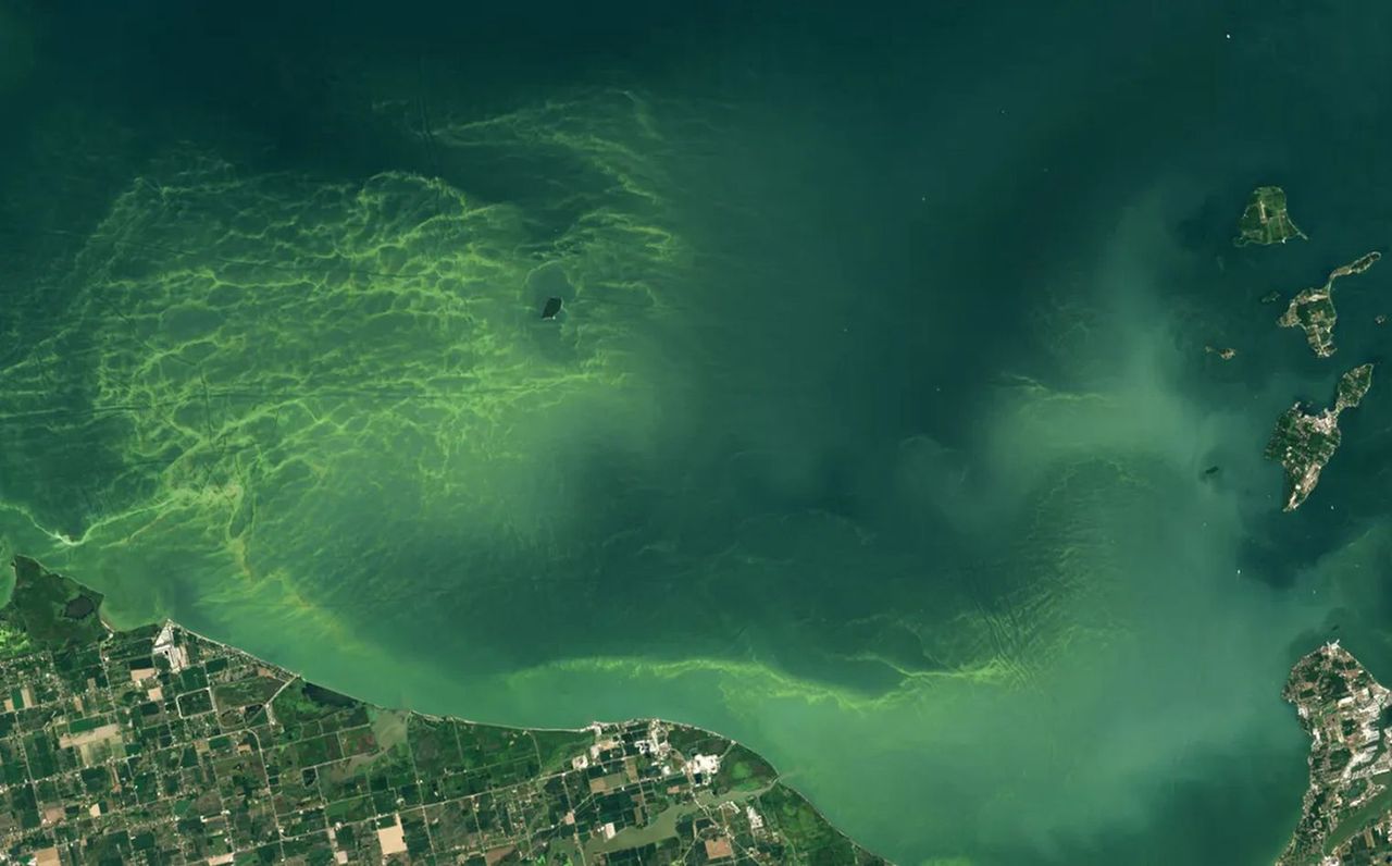 Blue-green algae plague strikes Lake Erie: Captured by NASA satellites