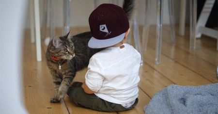 Adopcja kota pozytywnie wpływa na dzieci z autyzmem