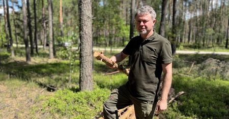 Węgiel drogi, więc zbierajcie chrust. Leśnik potwierdza: To już się dzieje