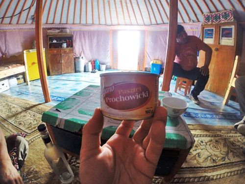 Pasztet prochowicki w Mongolii
