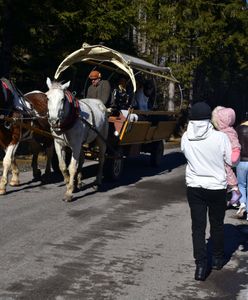 Konie nie zawiozą już turystów na Morskie Oko. Wiadomo, co je zastąpi