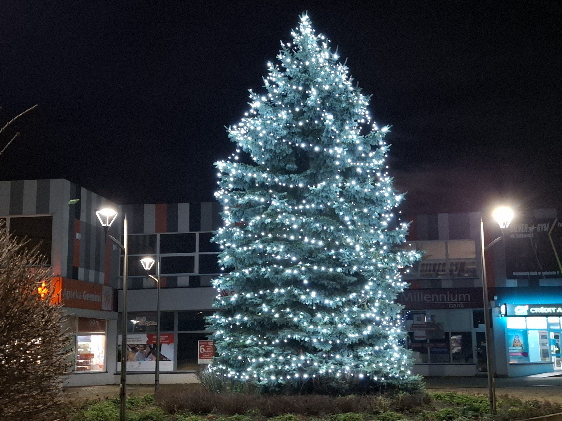 Tę choinkę również zauważymy po wyjściu z dworca.