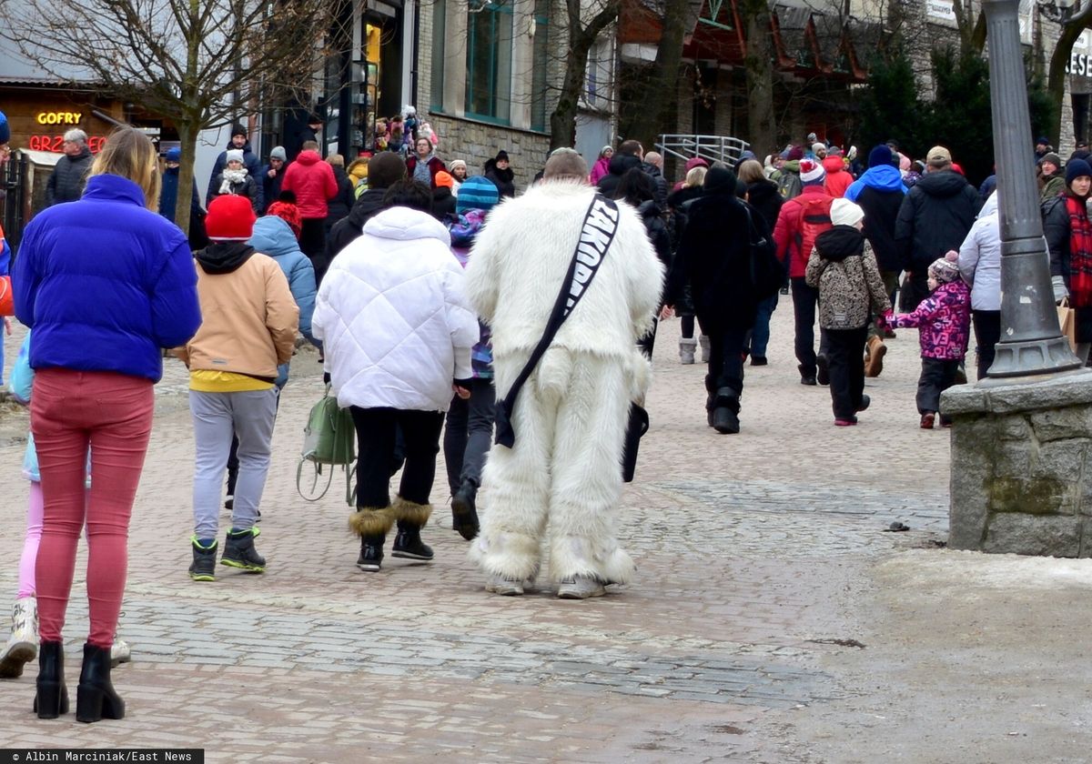 krupówki, miś Biały miś pogrążył Zakopane. Straty na kilkaset tys. zł