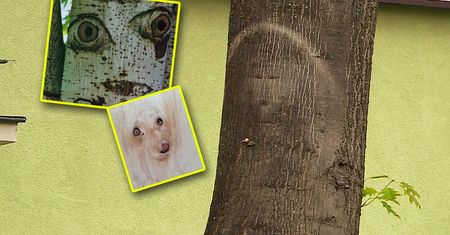 "Cud w Parczewie" to pareidolia. Ludzie dają się ponieść emocjom