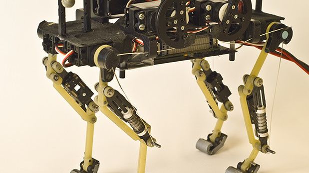 WTF dnia: robokot, czyli robot, który biega jak kot. Ale niestety nie mruczy [wideo] 1