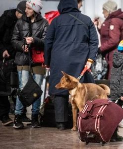 700 tys. osób wyjedzie z Ukrainy. Fatalne prognozy [RELACJA NA ŻYWO]