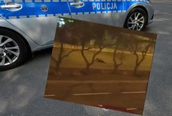 Groźna zabawa nastolatek w Pile. Mogło dojść do tragedii
