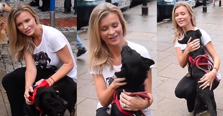 Joanna Krupa na marszu "Nakarm zwierzaka ze schroniska"