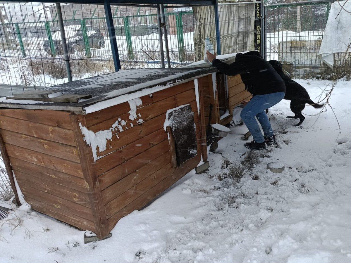 Odkrycie na terenie firmy w Gdańsku. Ta historia łamie serce