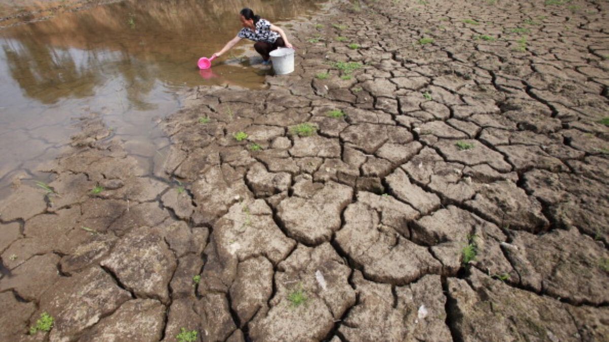 W Chinach panuje najwyższa od sześciu dekad temperatura