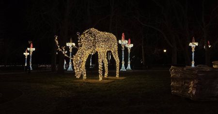 Płock walczy o tytuł Świetlnej Stolicy Polski