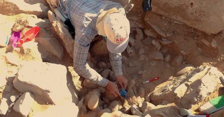 ''Latawiec pustyni'' sprzed 9000 lat. Przełomowe odkrycie naukowców w Jordanii