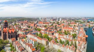 Prank dotarł do polskiego miasta. Człowiek-krzak straszy na ulicach