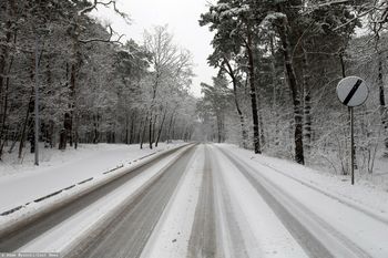 Lokalne drogi zasypane. Komunikat policji