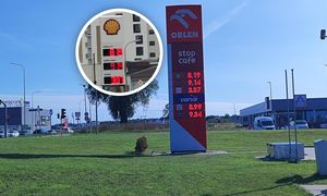 Ceny paliw znów szokują. Na stacjach benzyna przebiła 8 zł